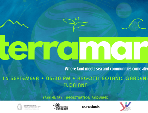 TerraMar Festival